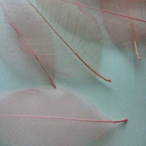 stardwn:These look like art.