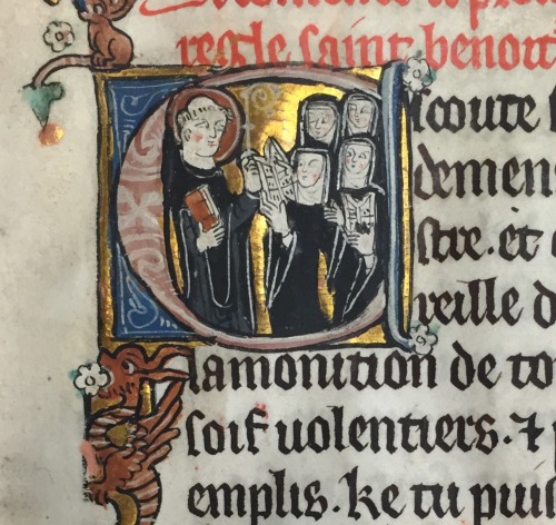 illinoisrbml:Decorated initialsare among the most striking features of manuscripts, but they were no