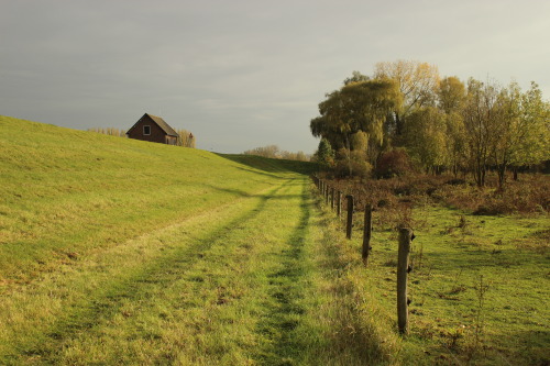 Around the Grebbeberg, Gelderland, The NetherlandsNovember 2019 © JB