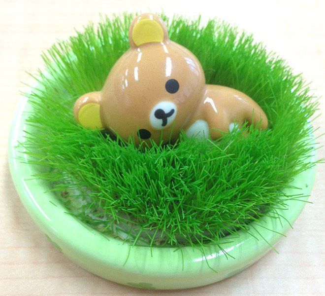 rilakkuma