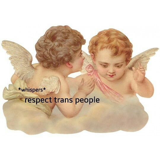gogh-save-the-bees: *screams* reSPECT TRANS PEOPLE!  
