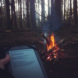 farfromthetrees:  Spent the afternoon alone in the woods keeping warm by a fire and reading poetry by Rumi. Then I meditated a while before walking home. What a great sunday. I couldn’t have asked for more.