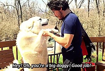 itty-bitty-markipoo:  This video was absolutely adorable, Mark reminded me of that