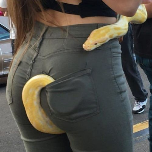 Porn messeduplosergirl:  Pervy snake alert! photos