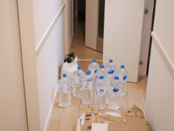 thetomlinsonnetwork:  #great now i gotta be responsible for these water bottles 