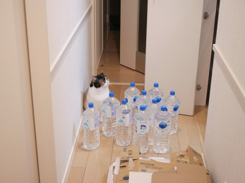 thetomlinsonnetwork: #great now i gotta be responsible for these water bottles