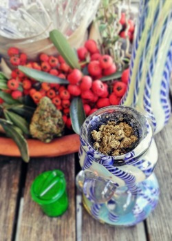 sexylatinonuggets:  Quieres keif? 