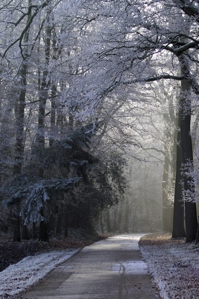 decepticun:  Cycle path in winter | by serni