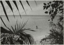 apeninacoquinete:  derk richardson, a quiet beach on the way to clarence town, 1970s