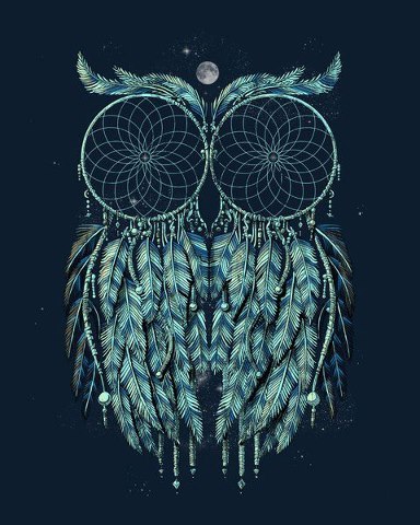 Fuck Yeah, Owls!