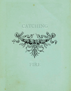 mydraco:  Books you should read Catching fire by Suzanne Collins 