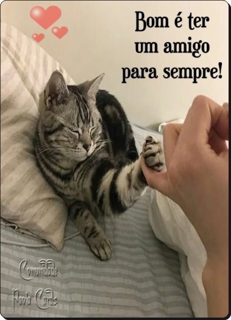1af7dd69122edb09c622ac40431a6ef75f051e8b