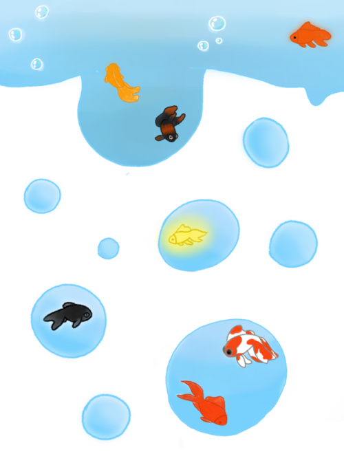 Bubbles N Fish 
