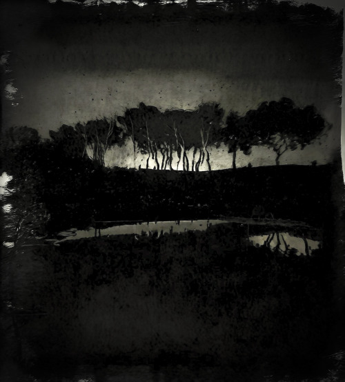 Field 311223