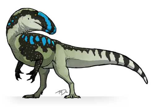 Hey look, it’s a generic neovenatorid! It’s mostly based on Neovenator itself, so I guess you could 