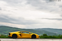 automotivated:  Anniversary (by Gaetan | www.carbonphoto.fr) 