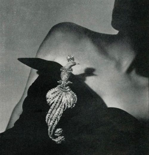 Mme Robert Lazard with Cartier’s peacock brooch - Vogue 1948 ____________________________________ #v