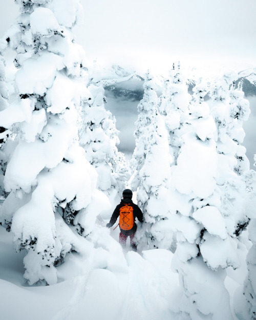 Fresh pow-pows on Whistler Blackcomb / Arc’teryx Alpha 45 Pack 