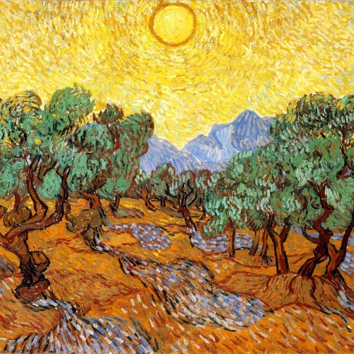 plantskid: how lovely yellow is. it stands for the sun. (vincent van gogh)