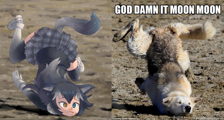 Grey Wolf from Kemono Friends