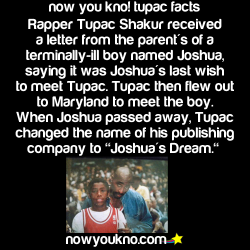 jaiking:  paperdemons:  Today in “Tupac was one of the greatest people ever…”   Follow me at http://jaiking.tumblr.com/ You’ll be glad you did.