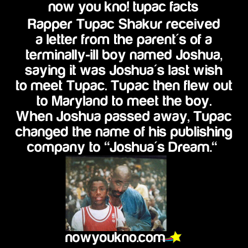 Porn nowyoukno:  NowYouKno more about TupacMore photos