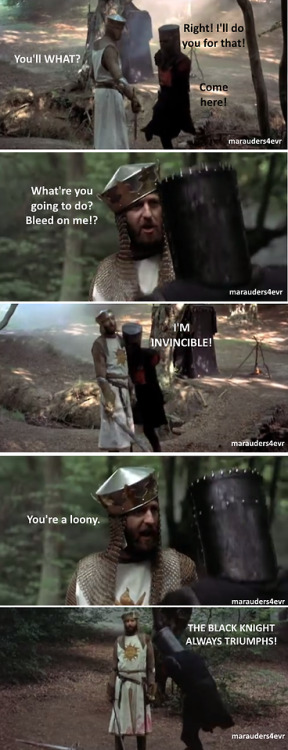 rustlingpages:marauders4evr:It’s just a flesh wound.The single greatest scene in cinematic history.If you try to tell me you didn’t read those lines in those voices then you’re a LIAR