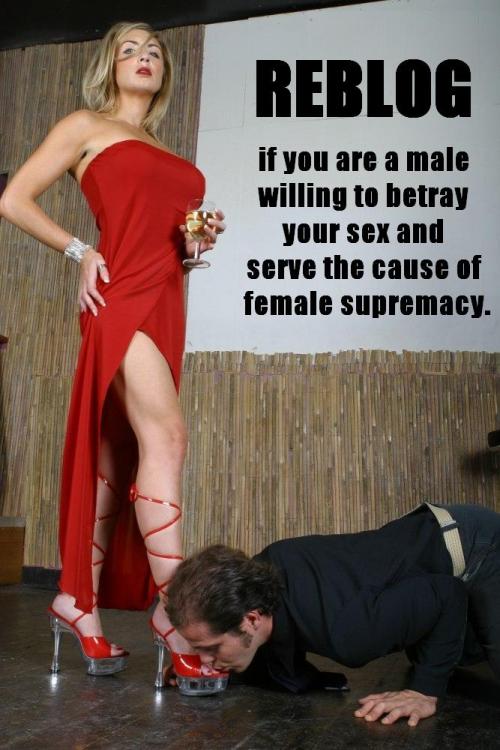 lesbian-femme-supreme-dominatrix: Saying you “support” it, or “promote” it is one thing. But let’s s