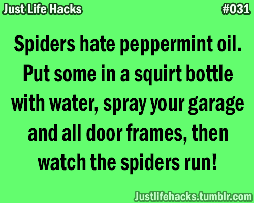 Spiders hate peppermint oil. Put some in a squirt bottle with water, spray your garage and all door 