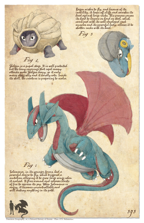 bogelbear:Pokegraphy, or, a Natural History of Hoenn - Plate 373: Salamence