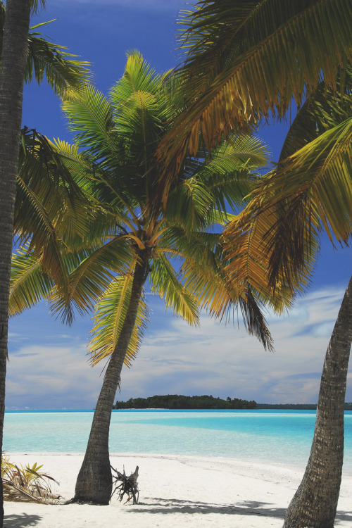 ig-88:  Cook Islands Aitutaki by (youngrobv)