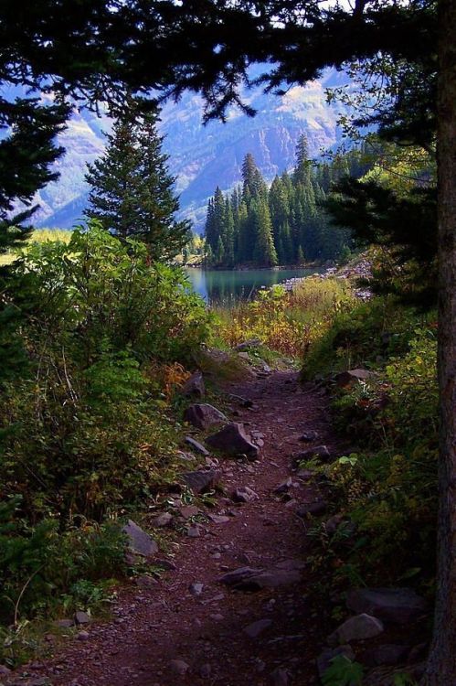 “Sherwood Forest” ~ Hiking trail to a beautiful mountain lake near Aspen, Colorado. Photo and captio