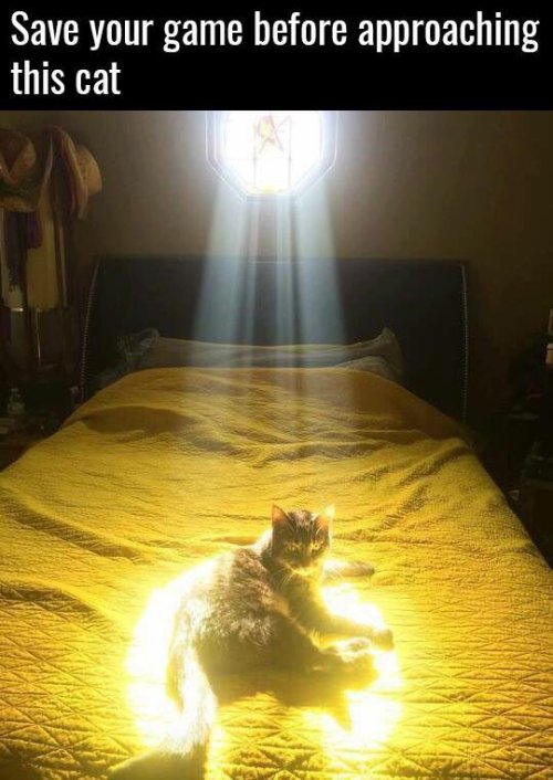 funnygamememes: There must be a boss battle coming