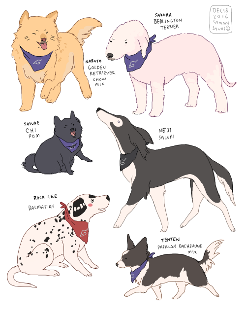 naruto, but everyone is a DOG