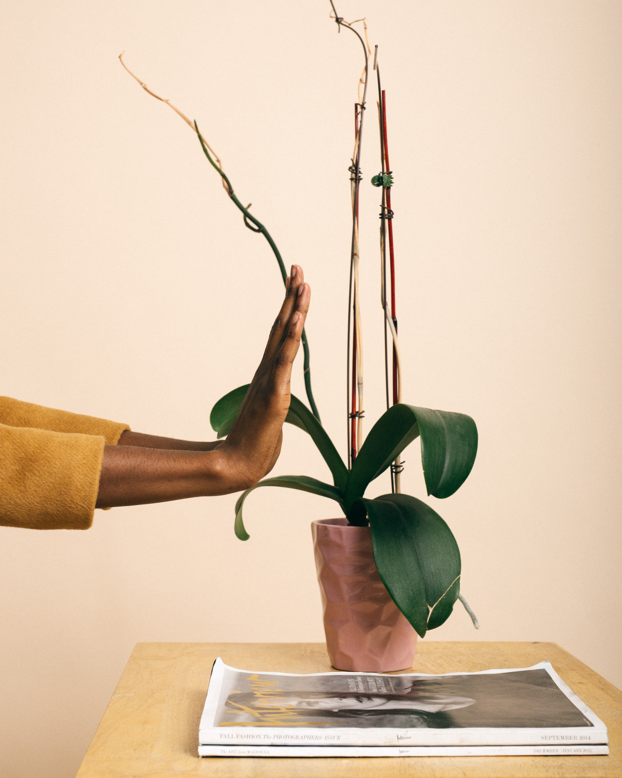 justinamoafo:  + // terre; an earthy tone study by Justin Amoafo [feat. Sira Kante]