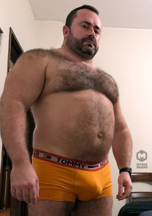 mybigbears: #mybigbears #underwear #massive #daddy #bear 