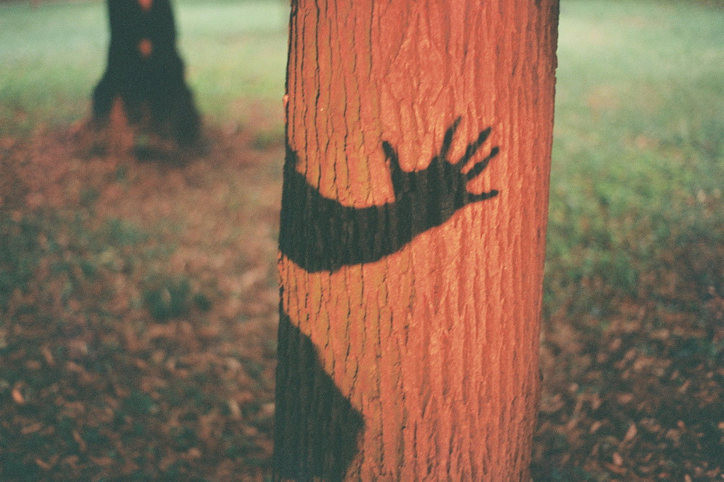 approvers:  by  ….ша