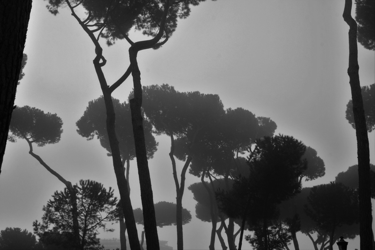 imickeyd:  kuplenko2:  Kuplenko2 Borghese Gardens Rome-2016 ©Kuplenko  