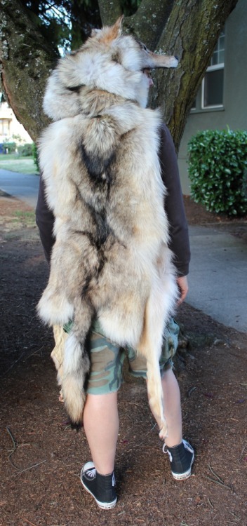 thegreenwolf:Just completed a wolf headdress who’s just been sent off as a rental for an independent