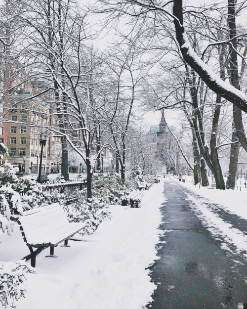 From these snowy scenes to settling snow fort disputes today #pretty #winter #latergram #boston (à B