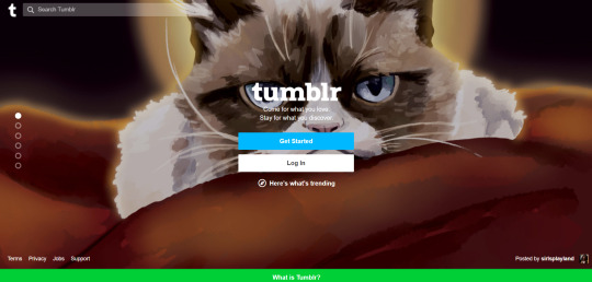 Tumblr media