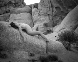 blakedietersphotography:  Desert Nude 9  2015©