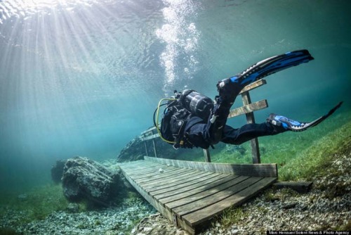 Sex brain-food:  This is most most bizarre underwater pictures