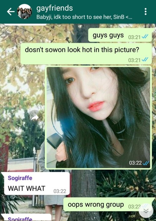 gaying in the group chat (from yerin&rsquo;s view)