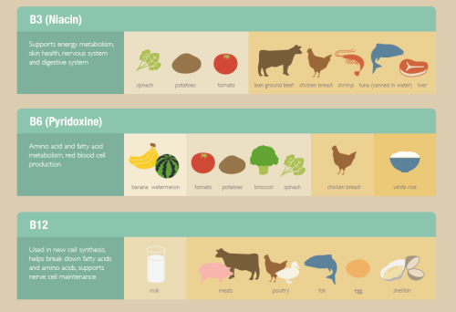 Vitaminaquid ea faciant atque in quibus cibis sintthe-more-u-know:A Vitamin Cheat sheet that let’s y