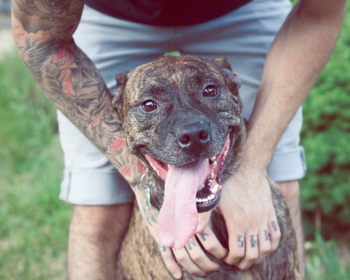 nonelikerae:  Tattoo blog x