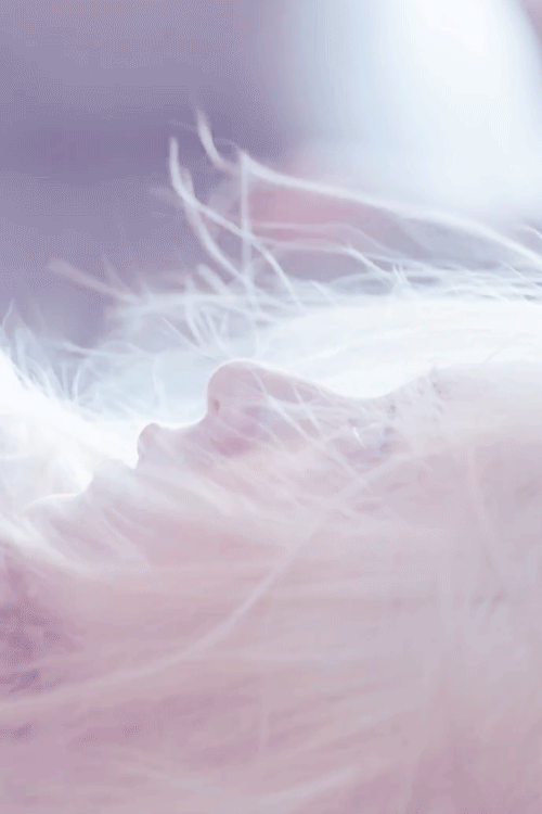 riverofbones:  vintage blog ❂