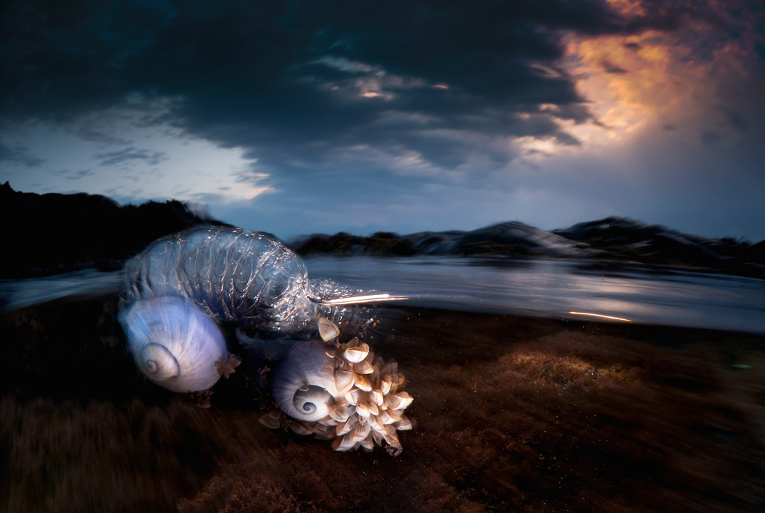 carbonking:  nubbsgalore:  photos by matt smith from the Illawarra coast in new