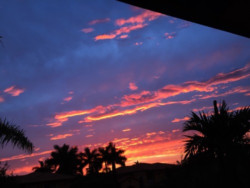 wrxst29:  the sunset yesterday