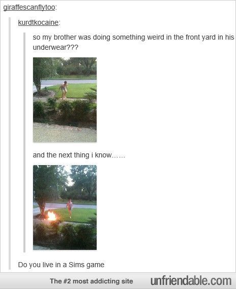 itsstuckyinmyhead:  The Sims Tumblr Posts 